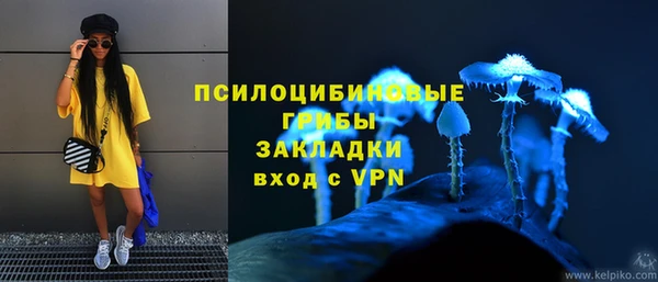мяу мяу мука Вяземский